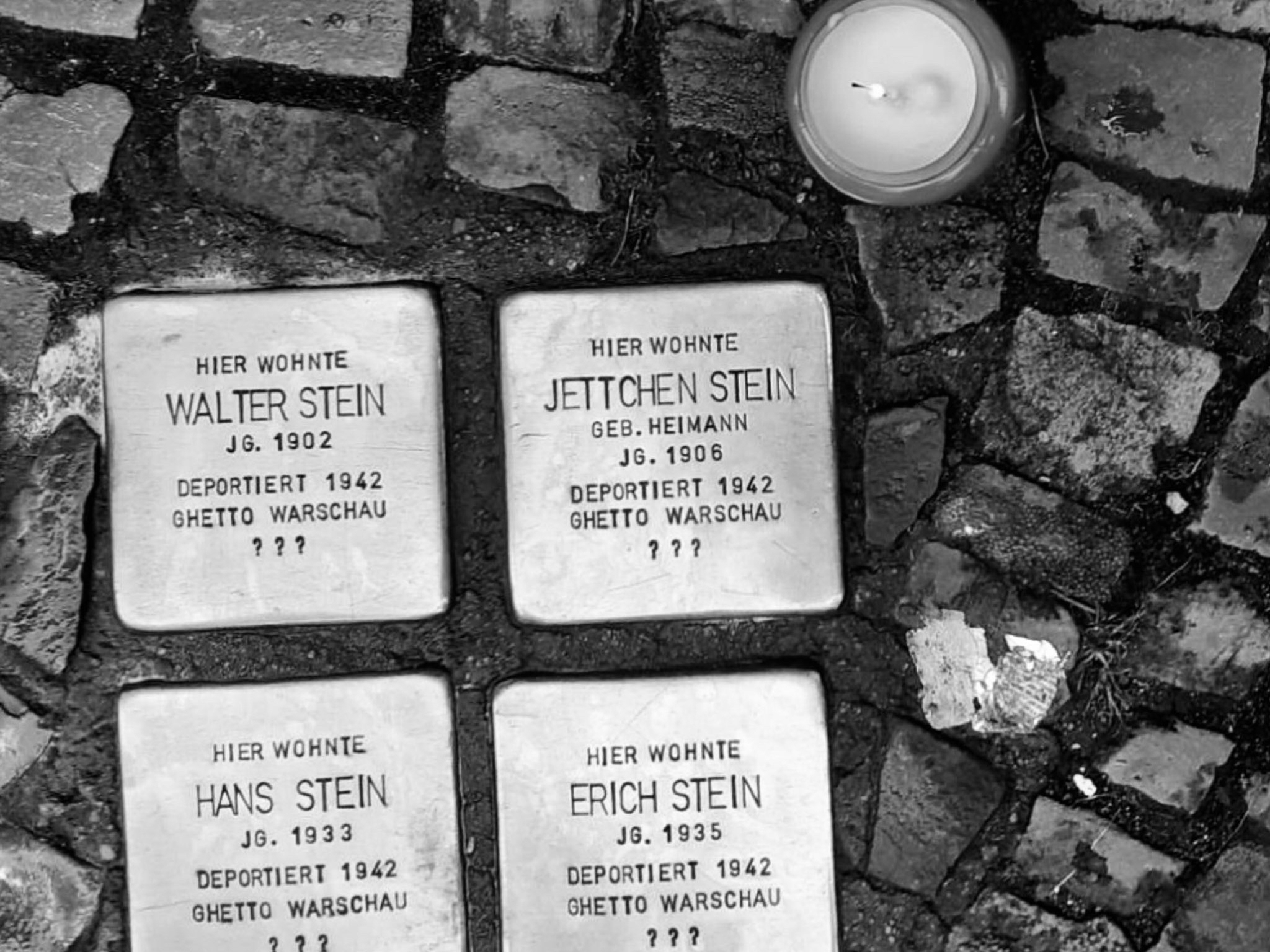 Stolpersteine on a sidewalk in Salzwedel in memory of the Stein family.
