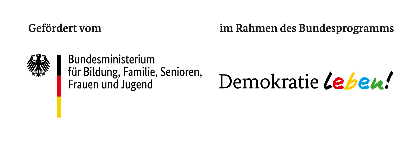 Logo BMBFSFJ DL